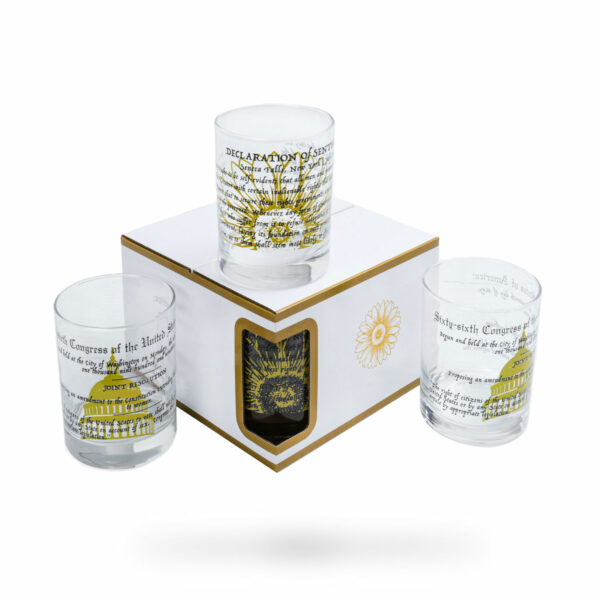 19th Amendment & Declaration of Sentiments Rocks Glass Set